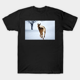 White Tailed Deer In Flight... T-Shirt